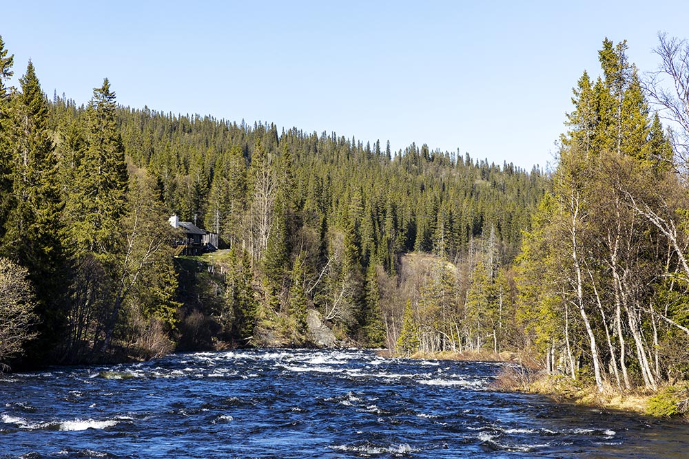 210530 Bydalen -11 Dammån vid Bydalen i Åre Kommun